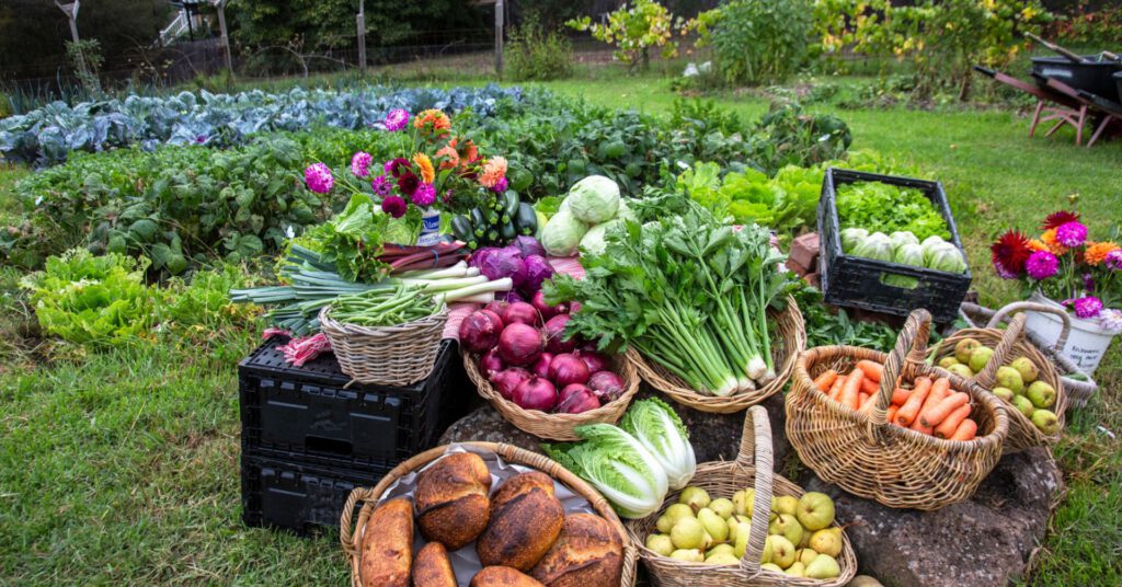 bio dynamic farm & produce