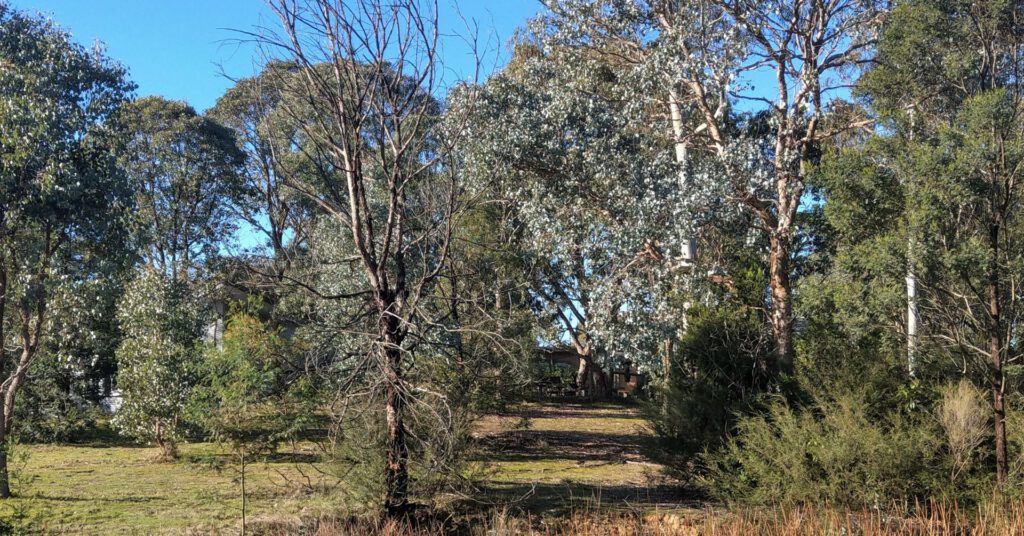 view from the dam melbourne rudolf steiner seminar